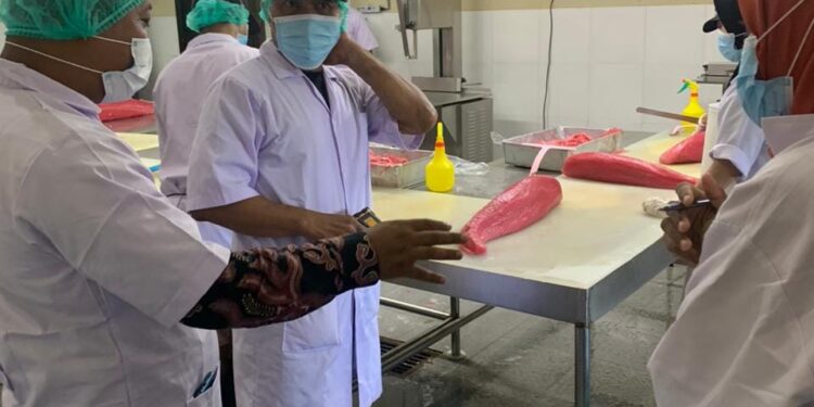 Mutu Terjamin, Ikan Tuna dari Sulawesi Tengah Tangguh di Pasar Ekspor