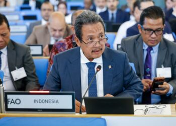 Indonesia Perkuat Perikanan Skala Kecil melalui KNMP di Forum FAO