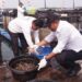 Lobster Modeling Batam Tembus Pasar Ekspor, KKP Dorong Pengembangan Budi Daya Lobster