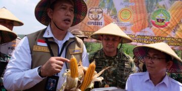 Bulog Siap Salurkan Tambahan 150 Ribu Ton SPHP Jagung hingga Akhir 2026