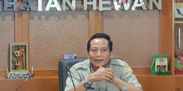 Kementan Perkuat Tata Kelola dan Keberlanjutan Usaha Peternak Babi