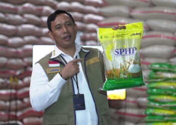 Bulog Optimalkan 2 Jurus Penugasan Pemerintah untuk Kendalikan Harga Beras