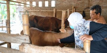 Kementan Bersama Pemda NTB Perkuat Perlindungan Ternak