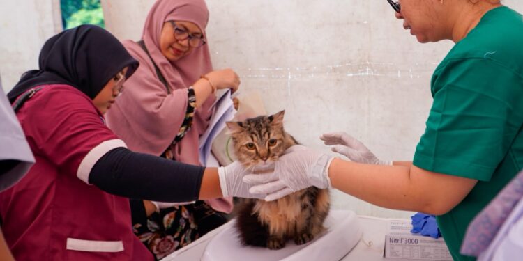 World Rabies Day 2026: Jangan Abaikan Gigitan, Segera Cuci Luka Selama 15 Menit