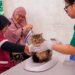 World Rabies Day 2026: Jangan Abaikan Gigitan, Segera Cuci Luka Selama 15 Menit
