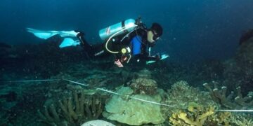 KKP Tetapkan 162 Ribu Hektare Laut di Kepala Burung Papua sebagai Kawasan Konservasi