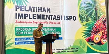 BPDP Bersama Ditjenbun dan PT SIB Gelar Pelatihan ISPO, Pekebun Sawit Jambi Naik Kelas