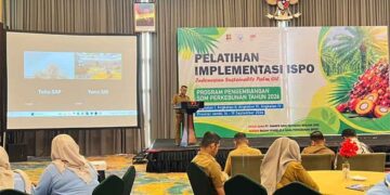 BPDP Bersama Ditjenbun dan PT SIB Adakan Pelatihan ISPO, Tingkatkan Produktivitas dan Daya Saing