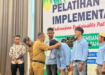 Pekebun Sawit Naik Kelas, BPDP, Ditjenbun dan PT SIB Gelar Pelatihan ISPO