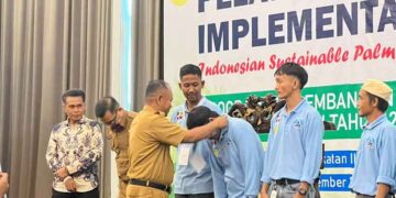 Pekebun Sawit Naik Kelas, BPDP, Ditjenbun dan PT SIB Gelar Pelatihan ISPO