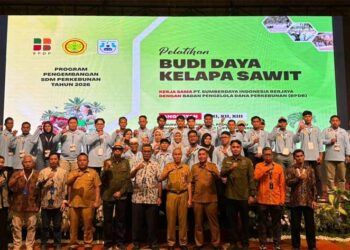 Atasi Lahan Terbatas, BPDP, Ditjenbun dan PT SIB Gelar Pelatihan Sawit Pekebun Rokan Hilir