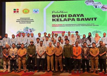 Kualitas SDM Jadi Kunci, BPDP Dukung Pekebun Sawit Rokan Hilir Lebih Profesional