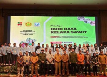 Atasi Berbagai Tantangan, BPDP, Ditjenbun dan PT SIB Gelar Pelatihan Budidaya Sawit Pekebun Rokan Hilir