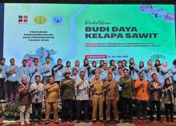 Sawit Berkelanjutan Jadi Penopang Ekonomi, BPDP Dorong Pekebun Rokan Hilir Naik Kelas