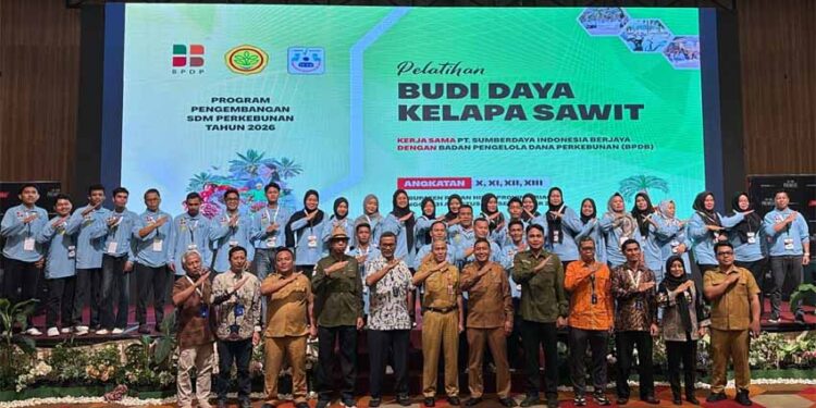 Sawit Berkelanjutan Jadi Penopang Ekonomi, BPDP Dorong Pekebun Rokan Hilir Naik Kelas