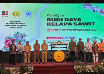Tingkatkan Produktivitas, BPDP, Ditjenbun dan PT SIB Gelar Pelatihan Budidaya Sawit Pekebun Rokan Hilir