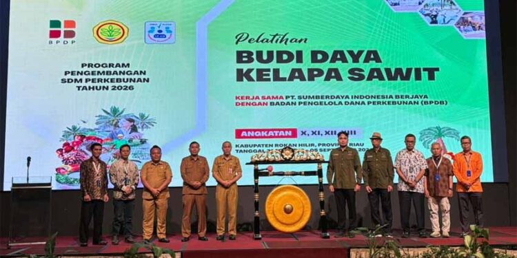Tingkatkan Produktivitas, BPDP, Ditjenbun dan PT SIB Gelar Pelatihan Budidaya Sawit Pekebun Rokan Hilir