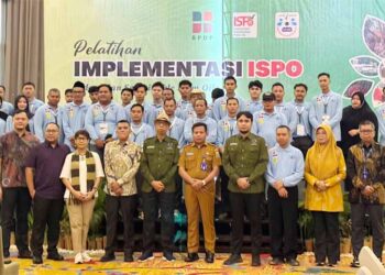 BPDP, Ditjenbun dan PT SIB Perkuat Kapasitas Pekebun Sarolangun melalui Pelatihan ISPO
