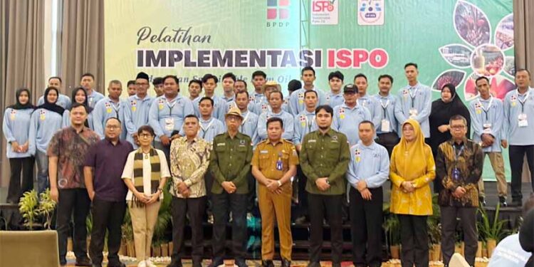 BPDP, Ditjenbun dan PT SIB Perkuat Kapasitas Pekebun Sarolangun melalui Pelatihan ISPO