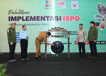 Membangun Tata Kelola Sawit Berkelanjutan, BPDP, Ditjenbun dan PT SIB Gelar Pelatihan ISPO Pekebun Sarolangun Jambi
