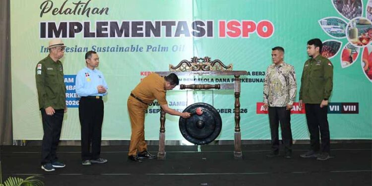 Membangun Tata Kelola Sawit Berkelanjutan, BPDP, Ditjenbun dan PT SIB Gelar Pelatihan ISPO Pekebun Sarolangun Jambi
