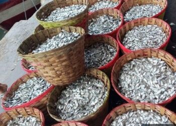 KKP Dorong Hilirisasi Produk Nonpangan di Sukabumi