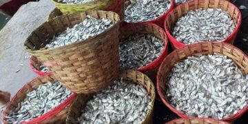 KKP Dorong Hilirisasi Produk Nonpangan di Sukabumi