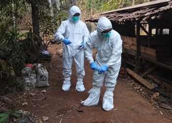 Kementan Perkuat Langkah Pemda dalam Pengendalian Penyakit Hewan di Gunungkidul