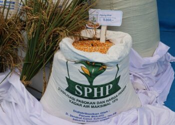 Bulog Percepat Penyaluran SPHP Jagung Pakan, Pastikan Stok Nasional Mencukupi