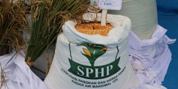 Bulog Percepat Penyaluran SPHP Jagung Pakan, Pastikan Stok Nasional Mencukupi