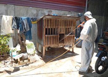 Kementan Dorong Pemda Sinjai Perkuat Surveilans dan Biosekuriti