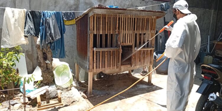 Kementan Dorong Pemda Sinjai Perkuat Surveilans dan Biosekuriti
