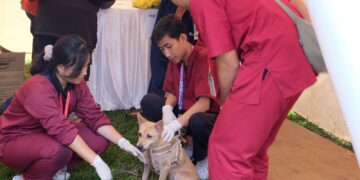 Perkuat Pengendalian Rabies di Bali, Kementan Alokasikan 205.000 Dosis Vaksin pada 2026