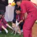 Perkuat Pengendalian Rabies di Bali, Kementan Alokasikan 205.000 Dosis Vaksin pada 2026