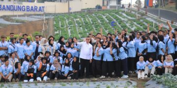 Kemnaker Target 70 Persen Lulusan Vokasi Bekerja